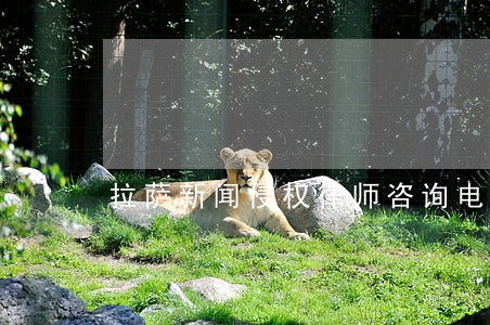 拉萨新闻侵权律师咨询电话 拉萨新闻侵权律师咨询电话