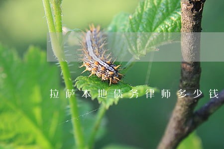 拉萨本地债务律师多少钱 拉萨本地债务律师多少钱