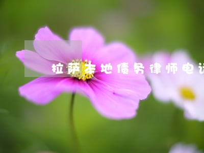 拉萨本地债务律师电话 拉萨本地债务律师电话