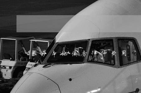 拉萨本地债务律师费用 拉萨本地债务律师费用