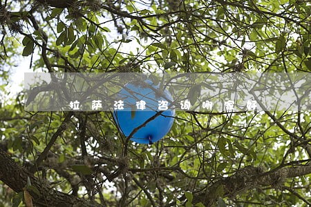 拉萨法律咨询哪家好 拉萨法律咨询哪家好