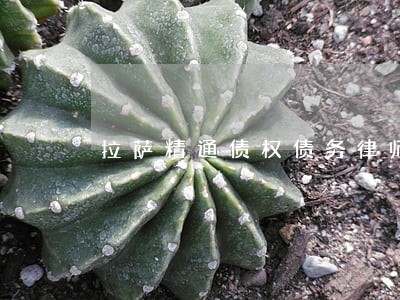 拉萨精通债权债务律师 拉萨精通债权债务律师