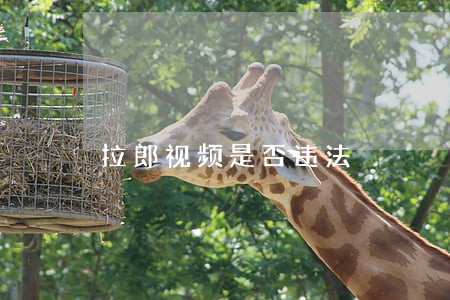 拉郎视频是否违法 拉郎视频是否违法