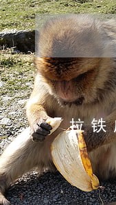 拉铁皮围挡违法吗 拉铁皮围挡违法吗