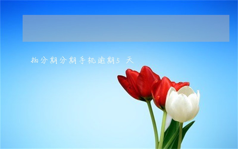 拍分期分期手机逾期5天 拍分期分期手机逾期5天