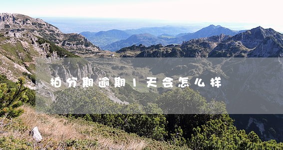 拍分期逾期1天会怎么样 拍分期逾期1天会怎么样