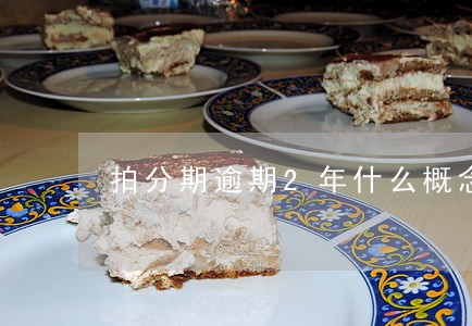 拍分期逾期2年什么概念 拍分期逾期2年什么概念