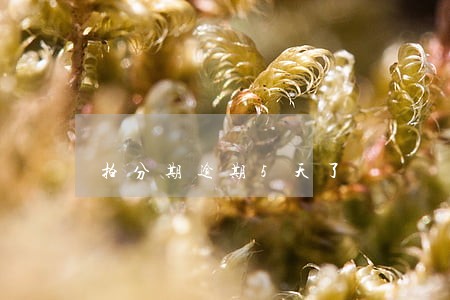 拍分期逾期5天了 拍分期逾期5天了