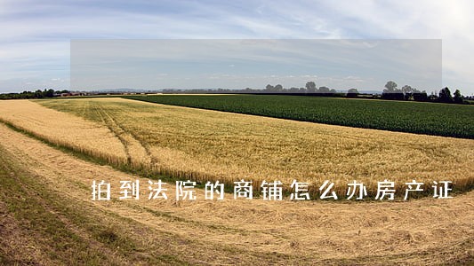 拍到法院的商铺怎么办房产证