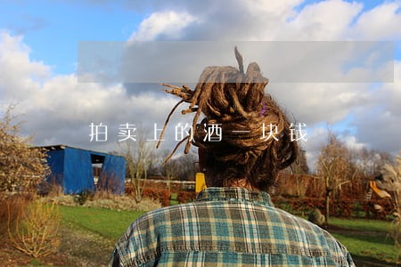 拍卖上的酒一块钱 拍卖上的酒一块钱