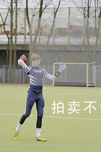 拍卖不含车牌 拍卖不含车牌