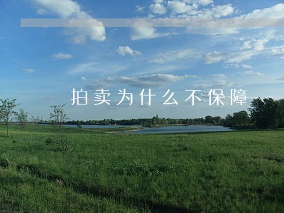 拍卖为什么不保障 拍卖为什么不保障