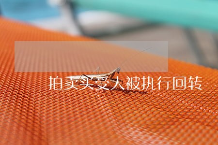 拍卖买受人被执行回转 拍卖买受人被执行回转