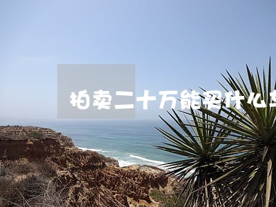 拍卖二十万能买什么车 拍卖二十万能买什么车