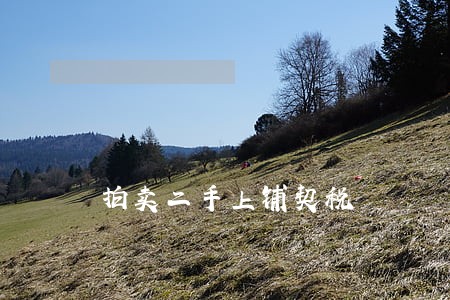 拍卖二手上铺契税