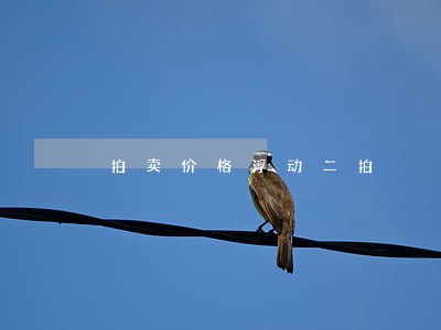 拍卖价格浮动二拍