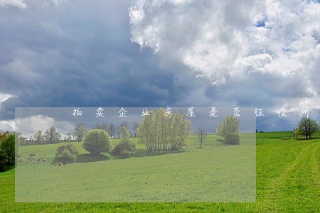 拍卖企业房屋是否征收所得税 拍卖企业房屋是否征收所得税