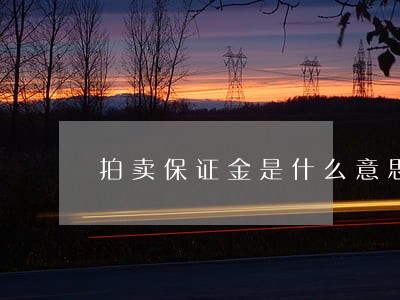拍卖保证金是什么意思 拍卖保证金是什么意思