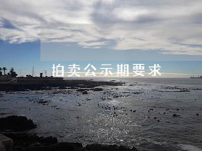 拍卖公示期要求 拍卖公示期要求