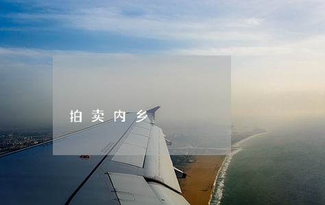 拍卖内乡 拍卖内乡