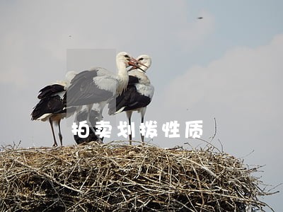 拍卖划拨性质 拍卖划拨性质