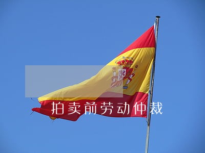拍卖前劳动仲裁 拍卖前劳动仲裁
