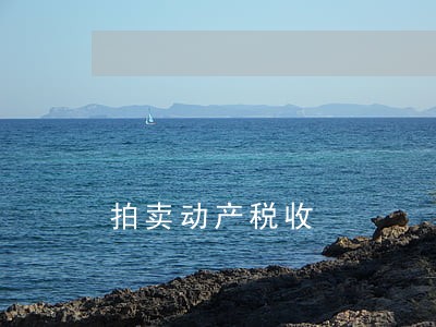 拍卖动产税收 拍卖动产税收