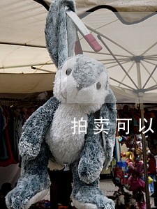拍卖可以找担保公司