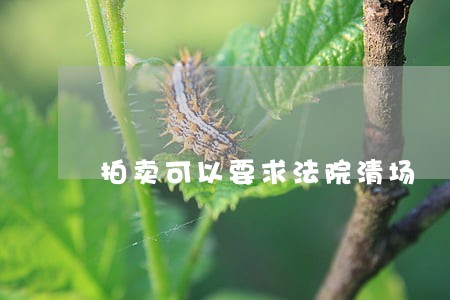 拍卖可以要求法院清场