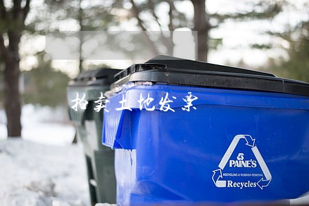 拍卖土地发票 拍卖土地发票