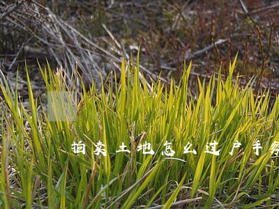 拍卖土地怎么过户手续 拍卖土地怎么过户手续