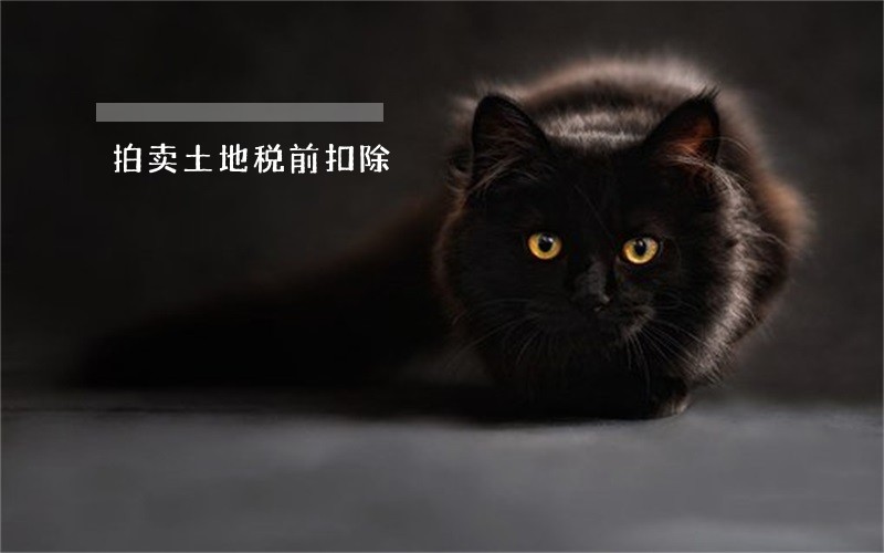 拍卖土地税前扣除 拍卖土地税前扣除