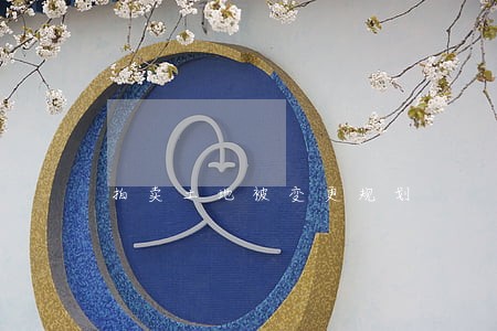 拍卖土地被变更规划