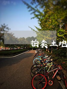 拍卖土地转让税多少 拍卖土地转让税多少