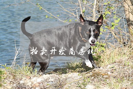 拍卖开发商房税
