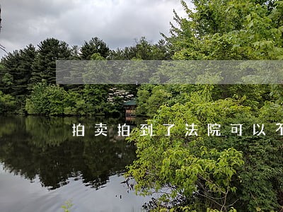 拍卖拍到了法院可以不同意吗 拍卖拍到了法院可以不同意吗