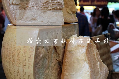 拍卖文书取得在建工程 拍卖文书取得在建工程