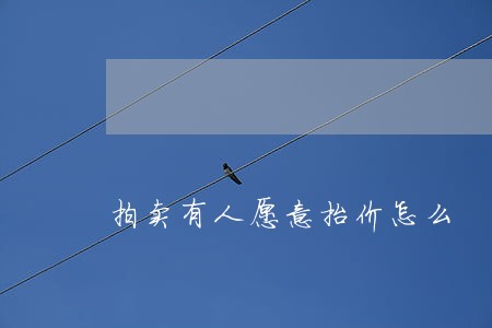 拍卖有人愿意抬价怎么 拍卖有人愿意抬价怎么