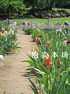 拍卖本场拍卖已流拍 拍卖本场拍卖已流拍