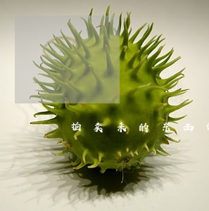 拍卖来的东西保险吗