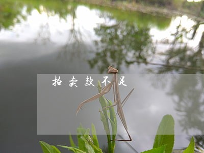拍卖款不足 拍卖款不足