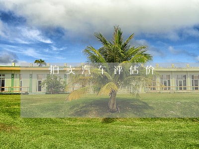 拍卖汽车评估价 拍卖汽车评估价
