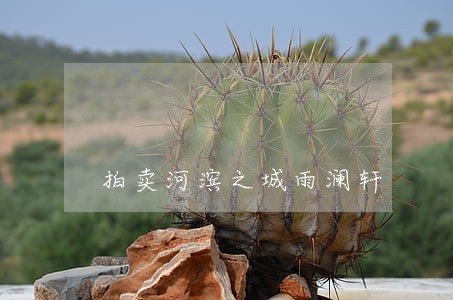 拍卖河滨之城雨澜轩 拍卖河滨之城雨澜轩