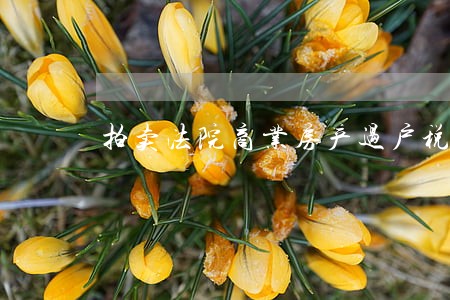 拍卖法院商业房产过户税费 拍卖法院商业房产过户税费