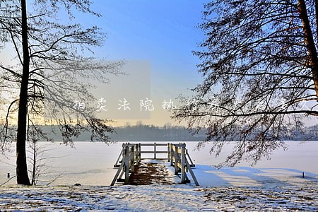 拍卖法院执行房产后多久解封 拍卖法院执行房产后多久解封