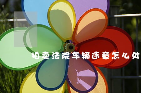拍卖法院车辆违章怎么处理 拍卖法院车辆违章怎么处理