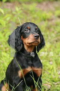 拍卖海口