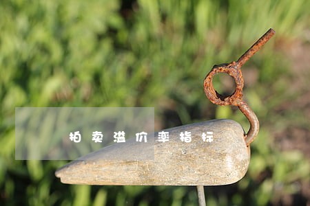 拍卖溢价率指标 拍卖溢价率指标