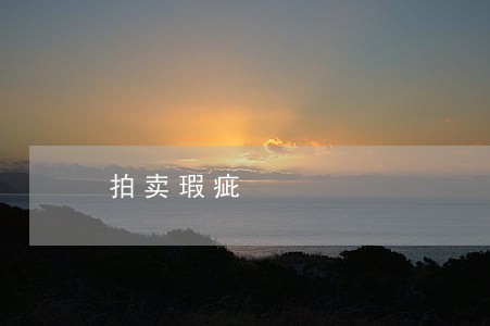 拍卖瑕疵 拍卖瑕疵