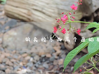 拍卖的东西属于原始取得 拍卖的东西属于原始取得
